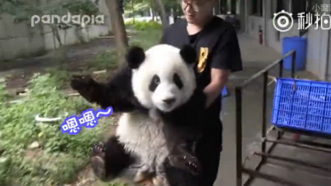 熊抱宝贝和奶爸一问一答萌死人啦!!